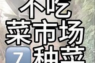 如何防守东契奇？亚历山大：这得全队都付出努力 我们会向他施压